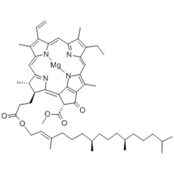 CLOROFILA A CAS 479-61-8